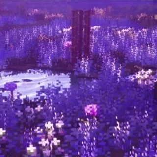 𝑖𝑛𝑓𝑜 𝑠𝑡𝑎𝑟 𝑡𝑟𝑎𝑐𝑘