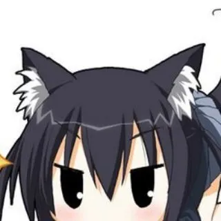Roumd Cats and Memes