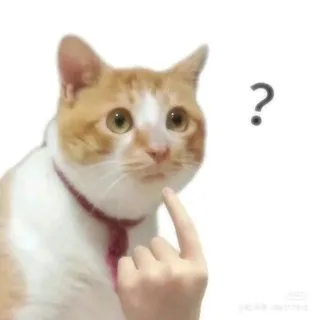 Витрина ЯКТмерч 💬