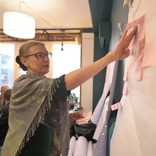 Елена Скриптунова. Pro bono
