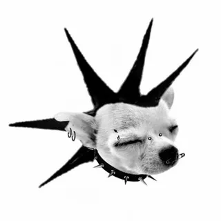 ✶﹕ᴅʀ. ᴅᴇᴀᴛʜ ᴅᴇꜰʏɪɴɢ .