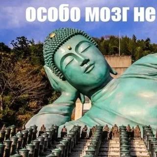 щп кафки с наклонностями