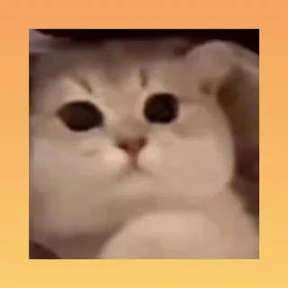 Отзывы | Тихон