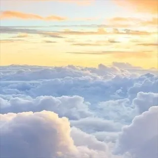 Claws&Clouds || Chat