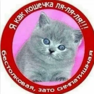 щп да опять шайни сколько можно
