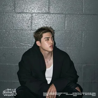 S.coups/Эскупс/Seventeen