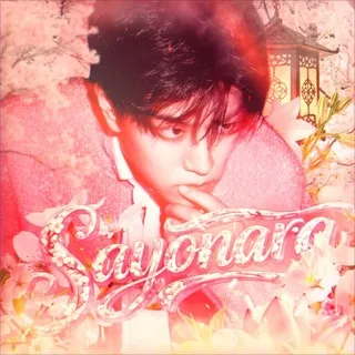 SAYOUNARA INT