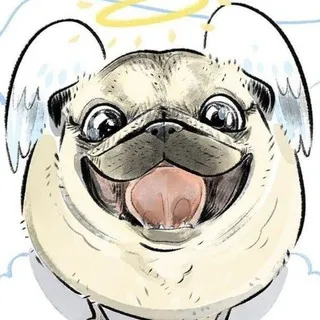 🦴 Мопсы conf 🐶 [pugs cf]
