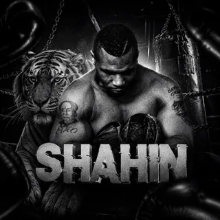 Shahin