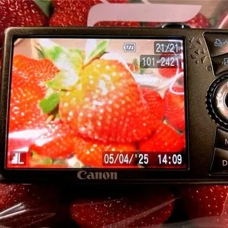JAM FAN CONFESSION!🍓 (JamSMP) !!РЕСТ!!
