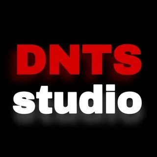 Команда DNTS