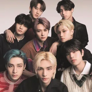 ∿ 🌷𝅄ׄ Stray Kids | ♡
