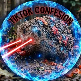 TikTok Confesion