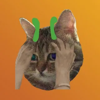 mik0ry | РЕСТ ДО 04.07 👍