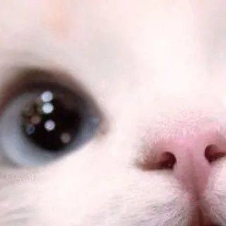 йзй.‧º·˚🎐🪷
