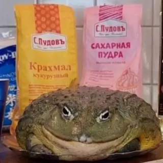 Узбекские арбузы