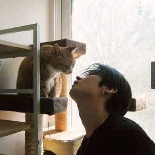 meowho and co 🐈