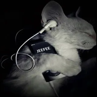 JEEFEE
