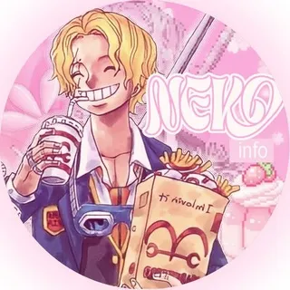 ⊹ ࣪ ˖𝑁𝑒𝑘𝑜 𝑝𝑖𝑒𝑐𝑒 𝐼𝑁𝐹𝑂ᝰ.ᐟ
