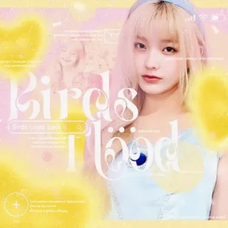 🔒🔒🔒🔒🔐🔐🔐🔐🔐🔒🔐🔒🔐🔒🔐🔒🔐🔒ꫂ᭪݁ : ⁹⁴𝐛𝐢𝐫𝐝𝐬 𝐟𝐥𝐨𝐨𝐝 𝐢𝐧𝐟𝐨 ☀️