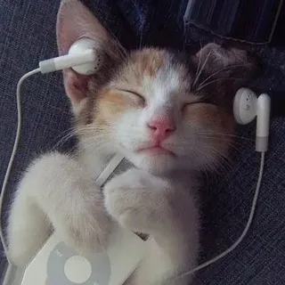 коллабы втф