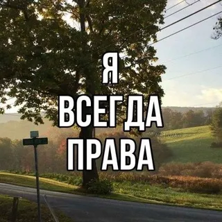 ВЕСЕЛЫЕ ЩП CONFESSION🍪