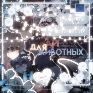 ◌⑅⃝●🪷ꪋꪀ ꪋꪀꪱꪑꪋꪶ ƿꪋꪚꪋᦔꪱઽꫀ 🪷◌⑅⃝●