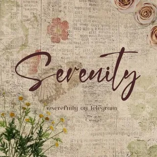୧ ׄׄ ! 𝅄 seeking beauty in “serenity store” imperfection and meaning in the spaces between ׅ ࣪ ˓˓ ♡