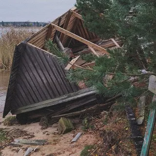 σκιᾶς ὄναρ / сон тени / яна маркова