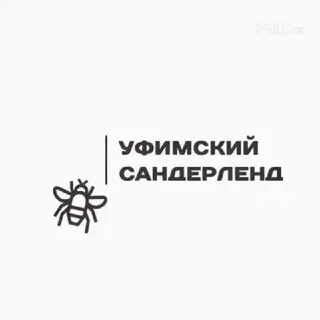 Уфимский Сандерленд