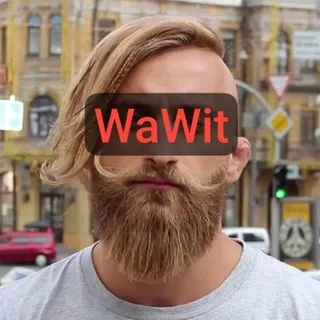 WaWit