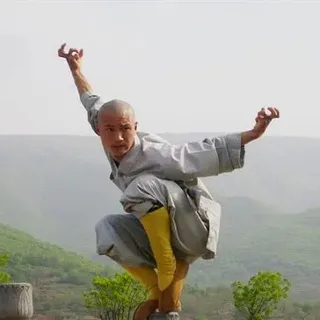 中国功夫|武术|拆解|动作大片