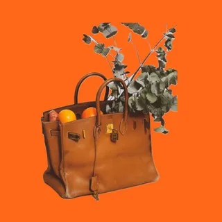 Birkin in wonderland 💭