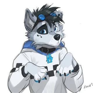 🌪️ FLUFFYᴴᴼᵁˢᴱ 🌪️