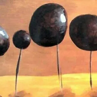 EL PATIO DE LAS CUERDAS