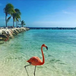 DONDE LO REAL SE MEZCLA CON LO MARAVILLOSO 🌊🌼❤❤