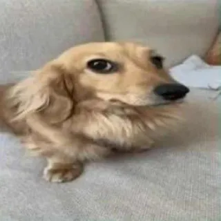 ✶ lodyaan | лодя ∘﹏∘