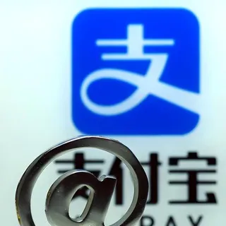 支付宝/大额/料/口令
