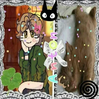 °🪶Ларёк Антона✏️°
