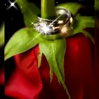 😍ᴀᴍᴏʀ & ꜰʀᴀsᴇs ᴇɴ ɪᴍᴀɢᴇɴᴇs💋