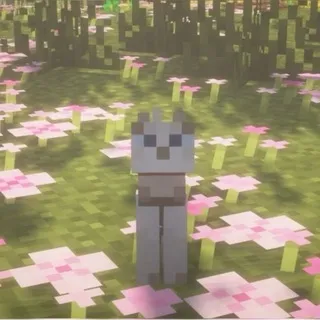 дет сад🌸