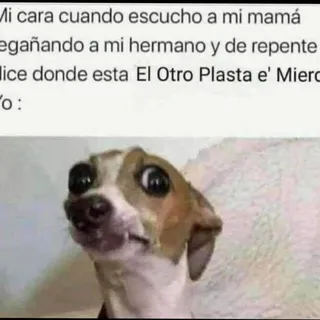 Memes Mudial🔥😂