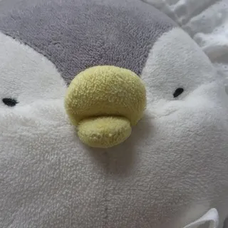 코인하는 약사