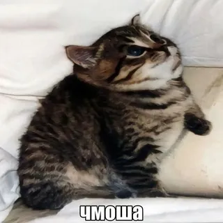 СЕКСГРАУНД