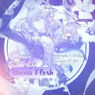 𝑩𝒓𝒂𝒔𝒔 𝑭𝒍𝒆𝒔𝒉 ⪼ 𝒍𝒊𝒇𝒆