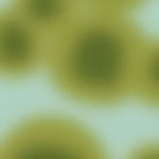 maplecomms