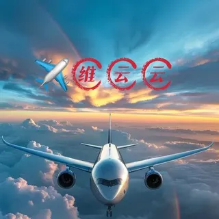 维云云✈️售后