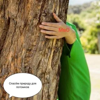 Экологический Активист