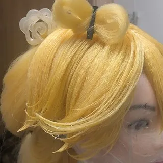SHIBARI WIG/craft