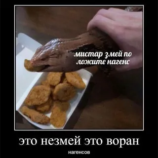 Воран нагенсов